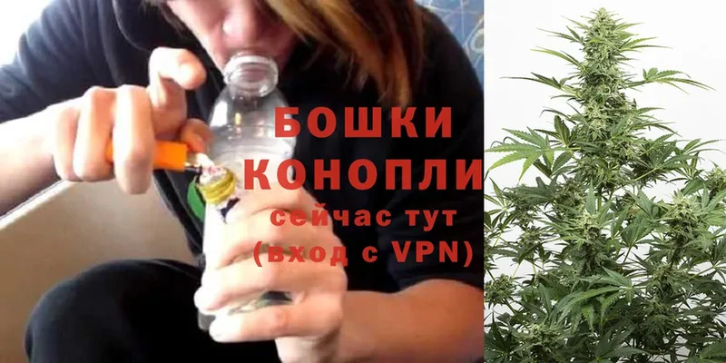 Конопля Ganja  купить наркотики цена  Новошахтинск 